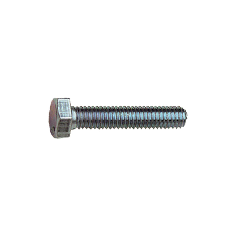 [MC306040] BLISTER 10 VIS METRIQUES TH 8.8 6X4