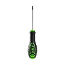 TOURNEVIS TORX T15X75