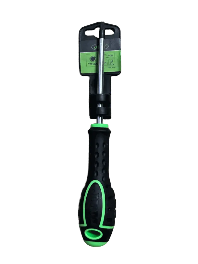 [10509]  TOURNEVIS TORX T25X100
