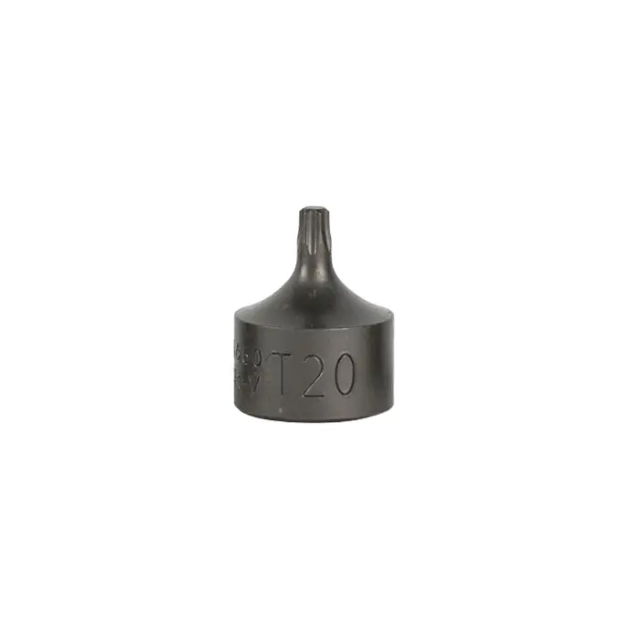 [16660] EMBOUT TORX COURT 0,9 CM T20 (RÉF.54546)