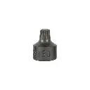 [16666] EMBOUT TORX COURT 0,9 CM T50 (RÉF.54546)
