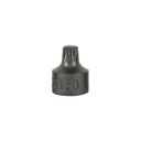 EMBOUT TORX COURT 0,9 CM T50 (RÉF.54546)