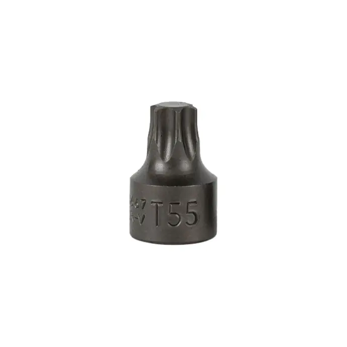 [16667] EMBOUT TORX COURT 0,9 CM T55 (RÉF.54546)