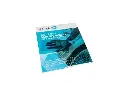 [WDS1000] Gerko wet & dry feuille abrasive 230 x 280 P1000 (50p.)