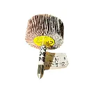 [KS12946] ROUE A LAMELLE ABRASVE REPARATION PNEU