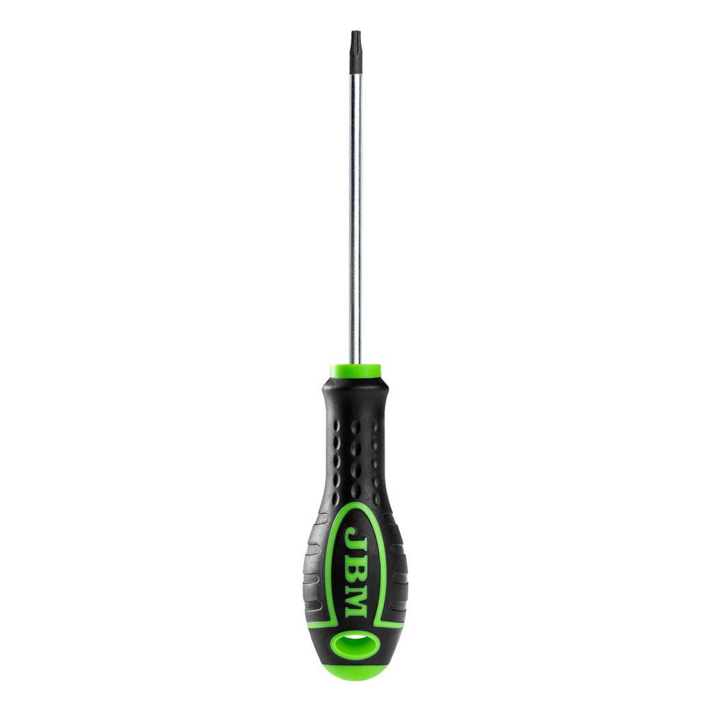 TOURNEVIS TORX T20X100