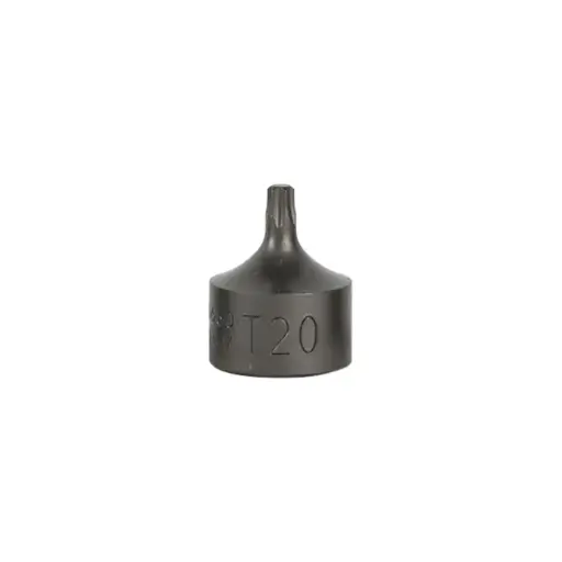 [16660] EMBOUT TORX COURT 0,9 CM T20 (RÉF.54546)