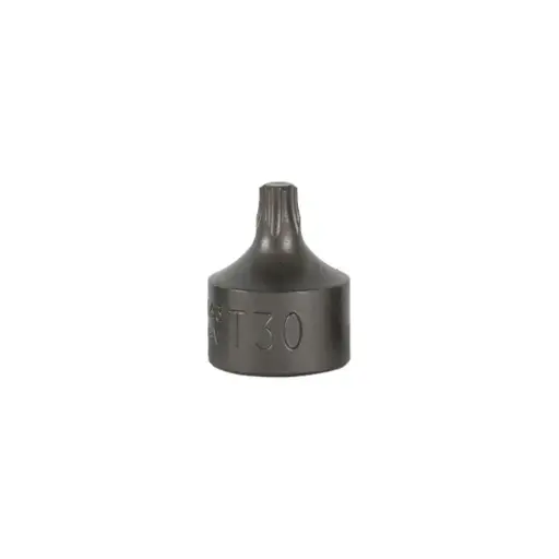 [16661] EMBOUT TORX COURT 0,9 CM T25 (RÉF.54546)