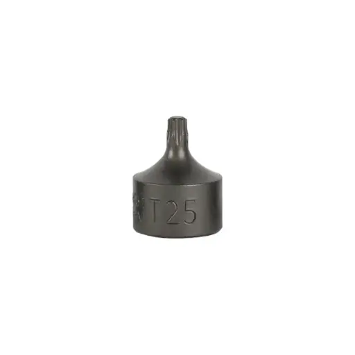[16663] EMBOUT TORX COURT 0,9 CM T30 (RÉF.54546)