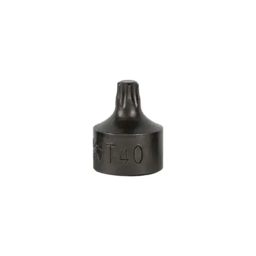 [16664] EMBOUT TORX COURT 0,9 CM T40 (RÉF.54546)