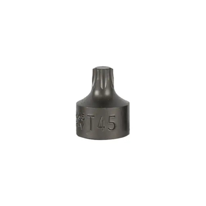 [16665] EMBOUT TORX COURT 0,9 CM T45 (RÉF.54546)