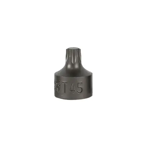 [16665] EMBOUT TORX COURT 0,9 CM T45 (RÉF.54546)